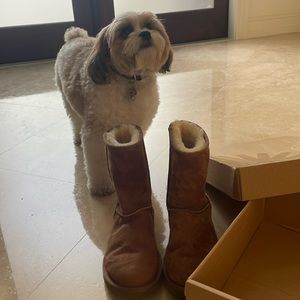 UGGs Classic Short Boots Chestnut